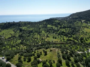 Γη προς Πώληση, 7000 τ.μ., Μεθώνης – Κορώνης, Βασιλιτσιον