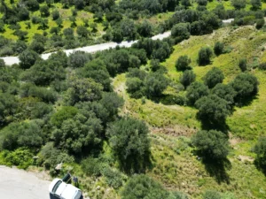 Γη προς Πώληση, 7000 τ.μ., Μεθώνης – Κορώνης, Βασιλιτσιον