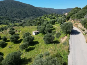 Γη προς Πώληση, 7000 τ.μ., Μεθώνης – Κορώνης, Βασιλιτσιον