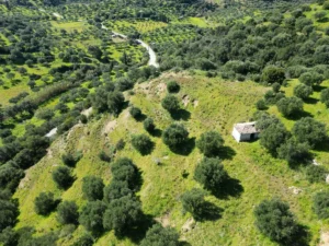 Γη προς Πώληση, 7000 τ.μ., Μεθώνης – Κορώνης, Βασιλιτσιον