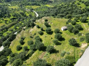 Γη προς Πώληση, 7000 τ.μ., Μεθώνης – Κορώνης, Βασιλιτσιον