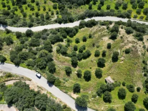 Γη προς Πώληση, 7000 τ.μ., Μεθώνης – Κορώνης, Βασιλιτσιον