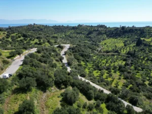 Γη προς Πώληση, 7000 τ.μ., Μεθώνης – Κορώνης, Βασιλιτσιον