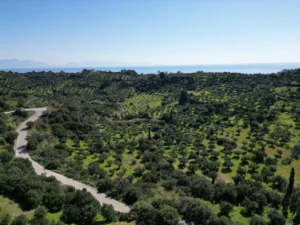 Γη προς Πώληση, 7000 τ.μ., Μεθώνης – Κορώνης, Βασιλιτσιον