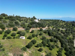 Γη προς Πώληση, 7000 τ.μ., Μεθώνης – Κορώνης, Βασιλιτσιον