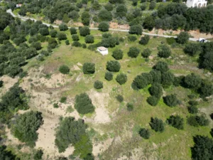 Γη προς Πώληση, 7000 τ.μ., Μεθώνης – Κορώνης, Βασιλιτσιον