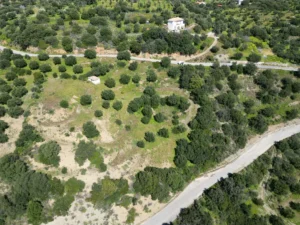 Γη προς Πώληση, 7000 τ.μ., Μεθώνης – Κορώνης, Βασιλιτσιον