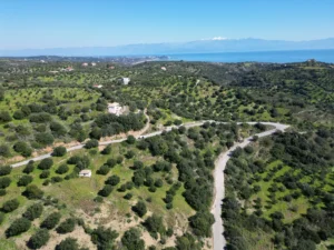 Γη προς Πώληση, 7000 τ.μ., Μεθώνης – Κορώνης, Βασιλιτσιον