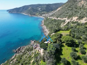 Κατοικία προς Πώληση, 100 τ.μ., Βασιλιτσιον, Περιφέρεια Πελοποννήσου