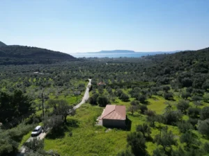 Κατοικία προς Πώληση, 106 τ.μ., Μεθώνης – Κορώνης, Φοινικους