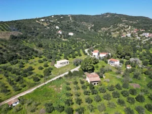 Κατοικία προς Πώληση, 106 τ.μ., Μεθώνης – Κορώνης, Φοινικους