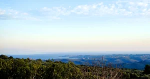 Κατοικία προς Πώληση, 213 τ.μ., Καλλιθέα – Άγιος Ανδρέας, Αδριανη