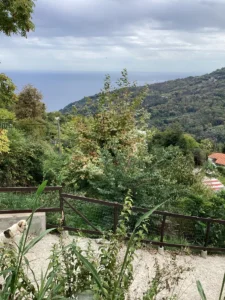 Κατοικία προς Πώληση, 70 τ.μ., Ανήλιο Μαγνησίας