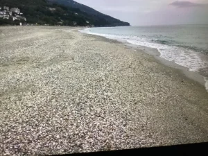 Κατοικία προς Πώληση, 70 τ.μ., Ανήλιο Μαγνησίας