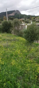 Αγροτεμάχιο προς Πώληση, 550 τ.μ., Μέγαρα