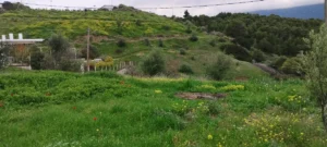 Αγροτεμάχιο προς Πώληση, 550 τ.μ., Μέγαρα