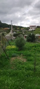 Αγροτεμάχιο προς Πώληση, 550 τ.μ., Μέγαρα
