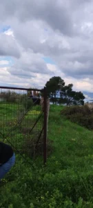 Αγροτεμάχιο προς Πώληση, 550 τ.μ., Μέγαρα