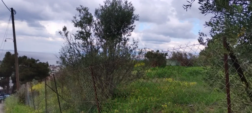Αγροτεμάχιο προς Πώληση, 550 τ.μ., Μέγαρα