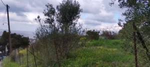 Αγροτεμάχιο προς Πώληση, 550 τ.μ., Μέγαρα
