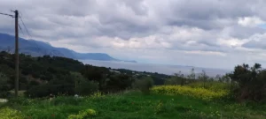 Αγροτεμάχιο προς Πώληση, 550 τ.μ., Μέγαρα