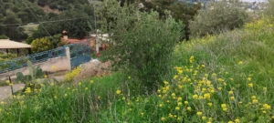 Αγροτεμάχιο προς Πώληση, 550 τ.μ., Μέγαρα
