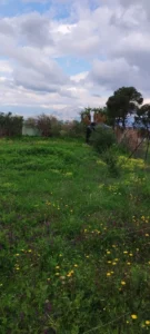 Αγροτεμάχιο προς Πώληση, 550 τ.μ., Μέγαρα