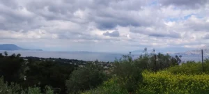 Αγροτεμάχιο προς Πώληση, 550 τ.μ., Μέγαρα
