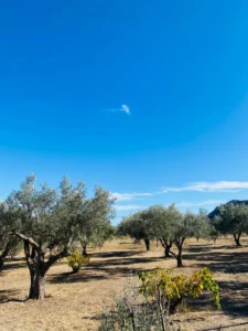Βίλλα προς Πώληση, 334 τ.μ., Περιφέρεια Αττικής