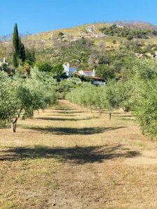Βίλλα προς Πώληση, 334 τ.μ., Περιφέρεια Αττικής