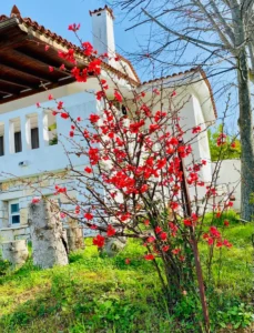 Βίλλα προς Πώληση, 334 τ.μ., Περιφέρεια Αττικής