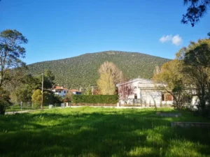 Γη προς Πώληση, 813 τ.μ., Γαλαρινος