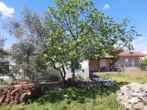 Κατοικία προς Πώληση, 85 τ.μ., Περιφέρεια Θεσσαλίας