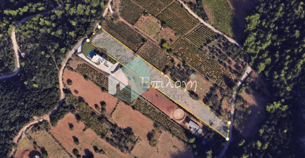 Property in Greece