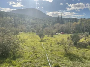 Αγροτεμάχιο προς Πώληση, 4055 τ.μ., Περιφέρεια Αττικής