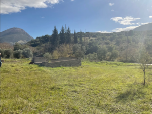 Αγροτεμάχιο προς Πώληση, 4055 τ.μ., Περιφέρεια Αττικής