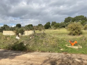 Αγροτεμάχιο προς Πώληση, 4055 τ.μ., Περιφέρεια Αττικής