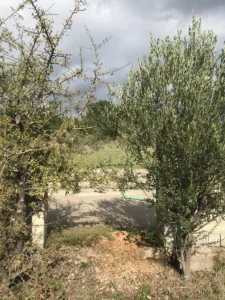 Αγροτεμάχιο προς Πώληση, 4055 τ.μ., Περιφέρεια Αττικής