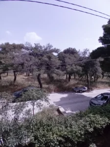 Διαμέρισμα προς Πώληση, 170 τ.μ., Πεύκη