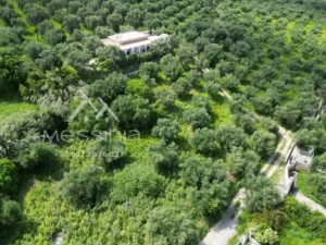 Γη προς Πώληση, 2102 τ.μ., Περιφέρεια Πελοποννήσου
