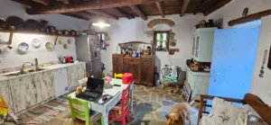 Κατοικία προς Πώληση, 141 τ.μ., Μηλέα Μεσσηνίας