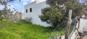 Κατοικία προς Πώληση, 200 τ.μ., Σκύρος
