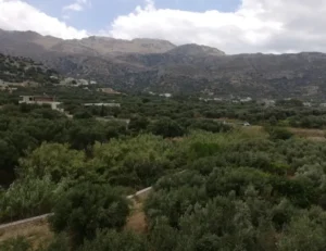 Κατοικία προς Πώληση, 93 τ.μ., Κατω Χωριον