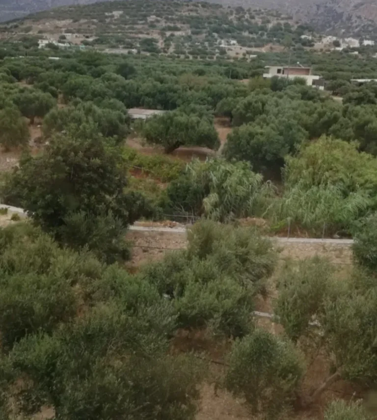 Κατοικία προς Πώληση, 93 τ.μ., Κατω Χωριον