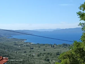 Κατοικία προς Πώληση, 95 τ.μ., Περιφέρεια Θεσσαλίας