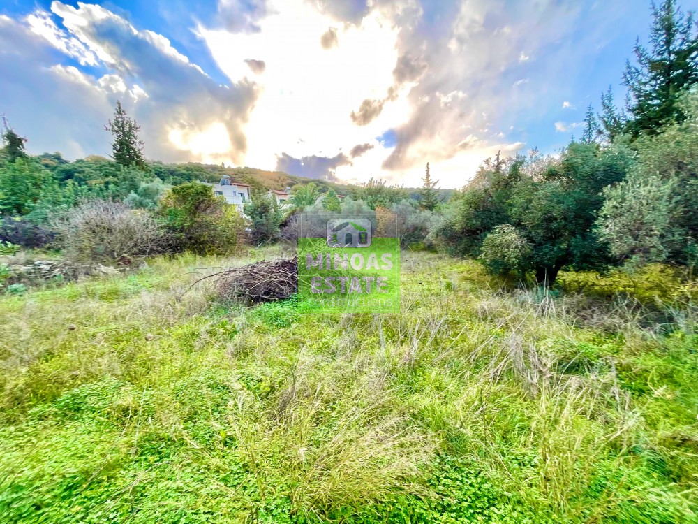 Property in Greece