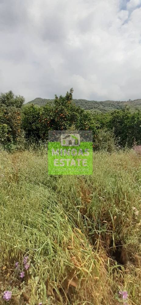 Property in Greece