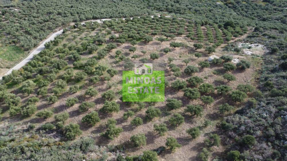 Property in Greece