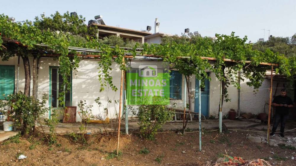 Property in Greece
