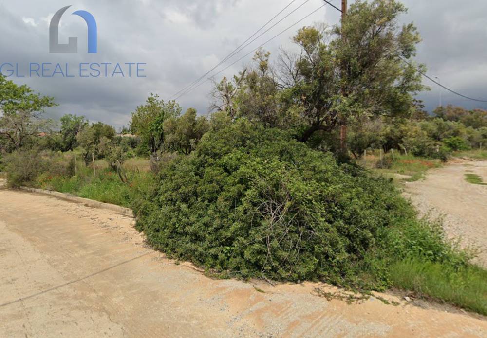 Property in Greece
